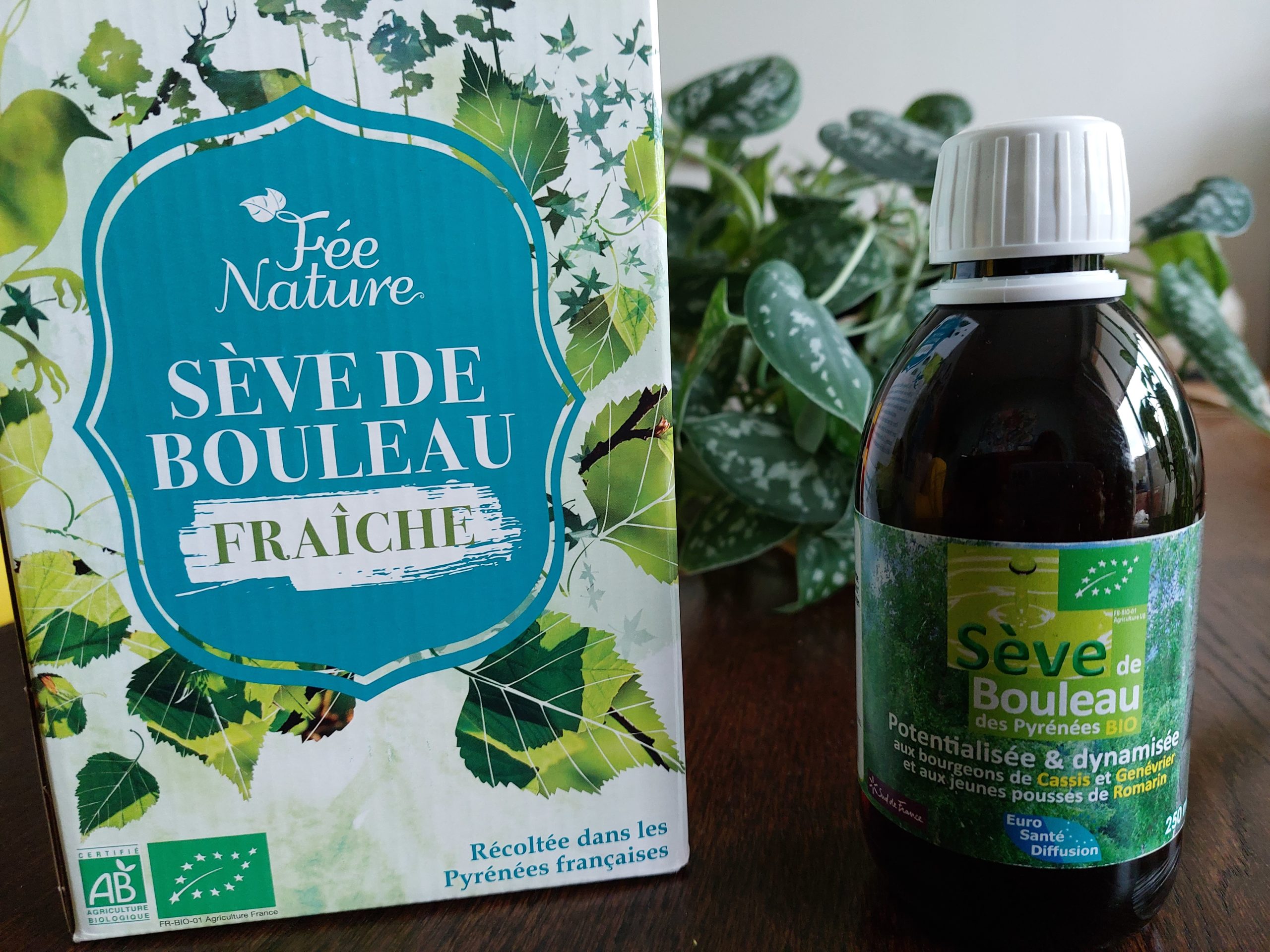 Cure de sève de bouleau, deux produits pour votre cure détox naturopathique