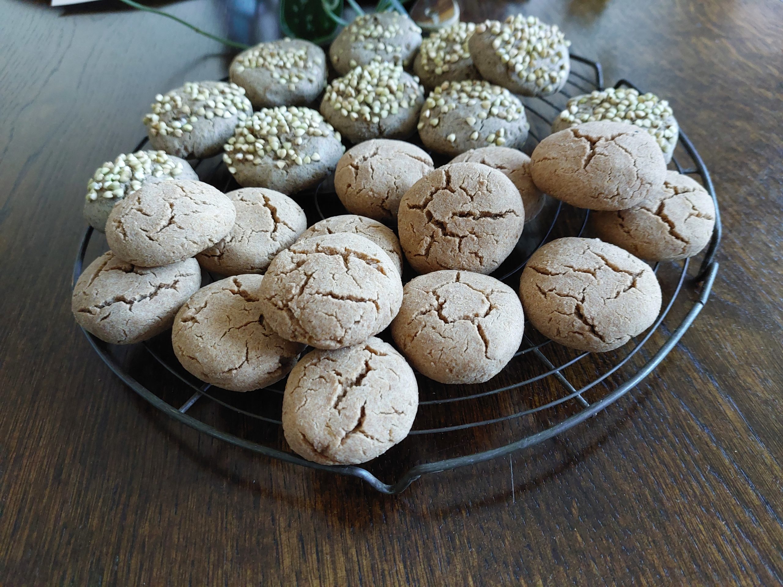 Matefaims-cevenols_biscuits_sarrasin_chataigne_Mathilde_Resplandy_Naturopathe_Marseille